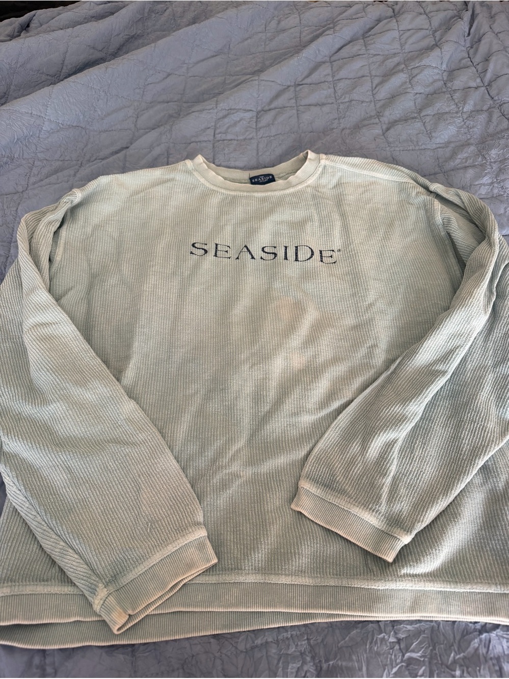 The Seaside Style Seaside Crewneck Sweatshirt in Sage whitewash size medium